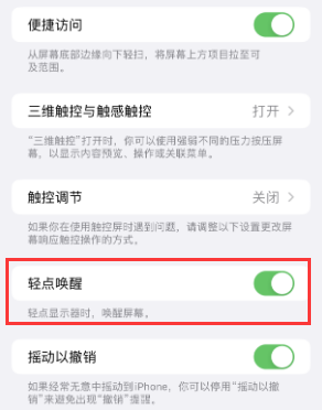 永登苹果授权维修站分享iPhone轻点无法唤醒怎么办 