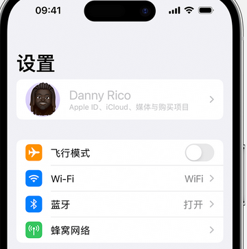 永登appleID维修服务iPhone设置中Apple ID显示为灰色无法使用