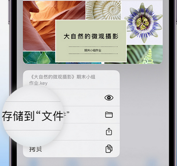 永登apple维修中心分享iPhone文件应用中存储和找到下载文件