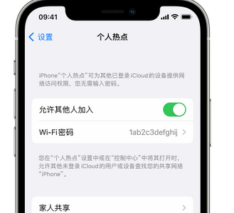 永登apple服务站点分享iPhone上个人热点丢失了怎么办