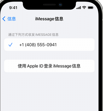 永登apple维修iPhone上无法正常发送iMessage信息 