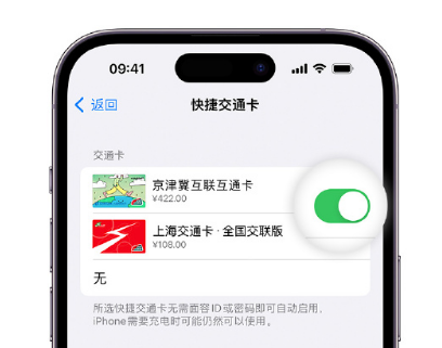 永登apple维修点分享iPhone上更换Apple Pay快捷交通卡手绘卡面 