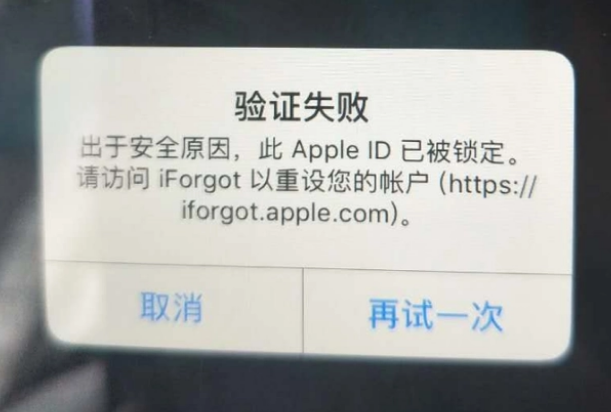 永登iPhone维修分享iPhone上正常登录或使用AppleID怎么办 