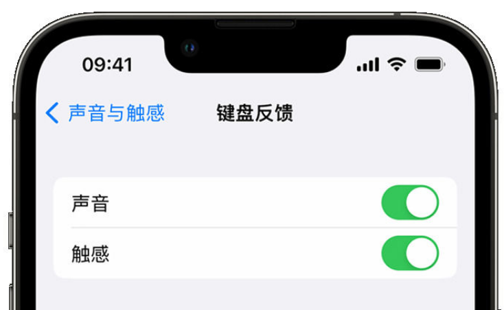 永登苹果手机维修分享iPhone 14触感键盘使用方法 