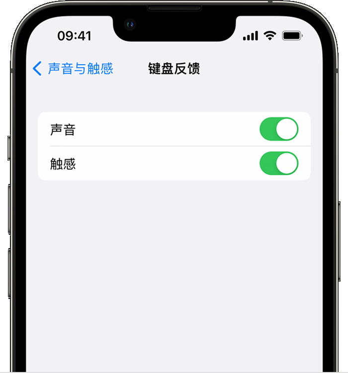 永登苹果14维修店分享如何在 iPhone 14 机型中使用触感键盘 