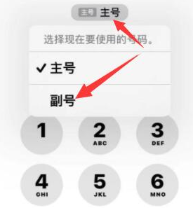 永登苹果14维修店分享iPhone 14 Pro Max使用副卡打电话的方法 