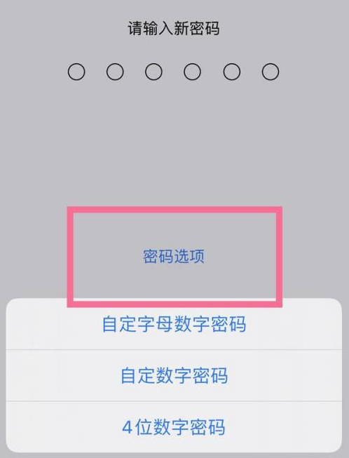 永登苹果14维修分享iPhone 14plus设置密码的方法 