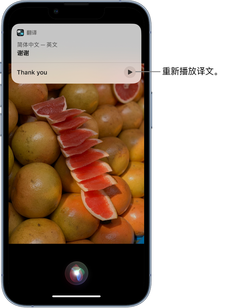 永登苹果14维修分享 iPhone 14 机型中使用 Siri：了解 Siri 能帮你做什么 