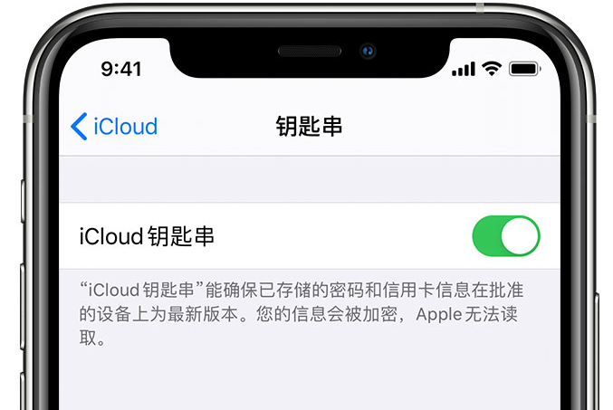 永登苹果手机维修分享在 iPhone 上开启 iCloud 钥匙串之后会储存哪些信息 