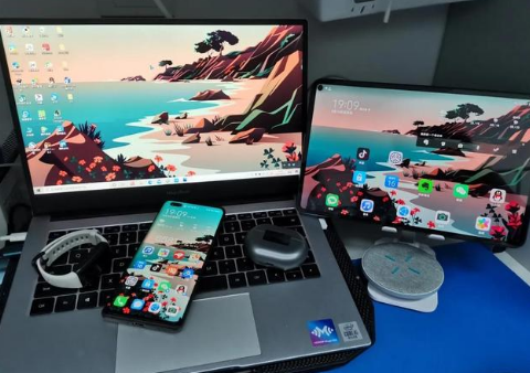 永登苹果手机维修分享为什么iPad屏幕更大价格却比iPhone低 