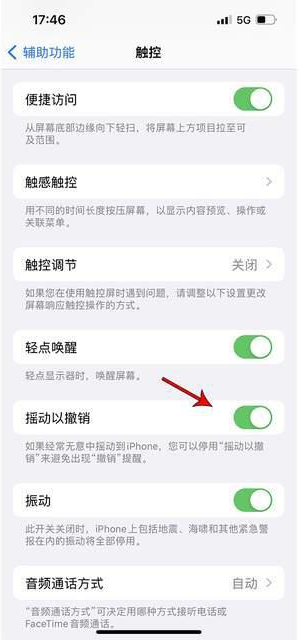 永登苹果手机维修分享iPhone手机如何设置摇一摇删除文字 