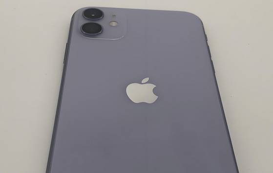 永登苹果11系统维修分享iPhone11手机系统崩溃无法开机如何解决 