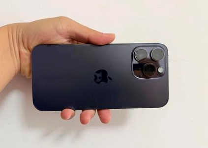永登苹果维修点分享iPhone 14 Pro Max黑屏少见故障盘点 